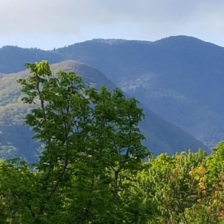 גטלינבורג Mountain Serenity מראה חיצוני תמונה